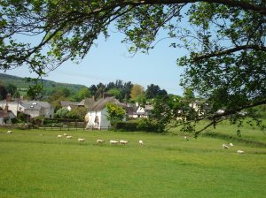 Kenn view with sheep